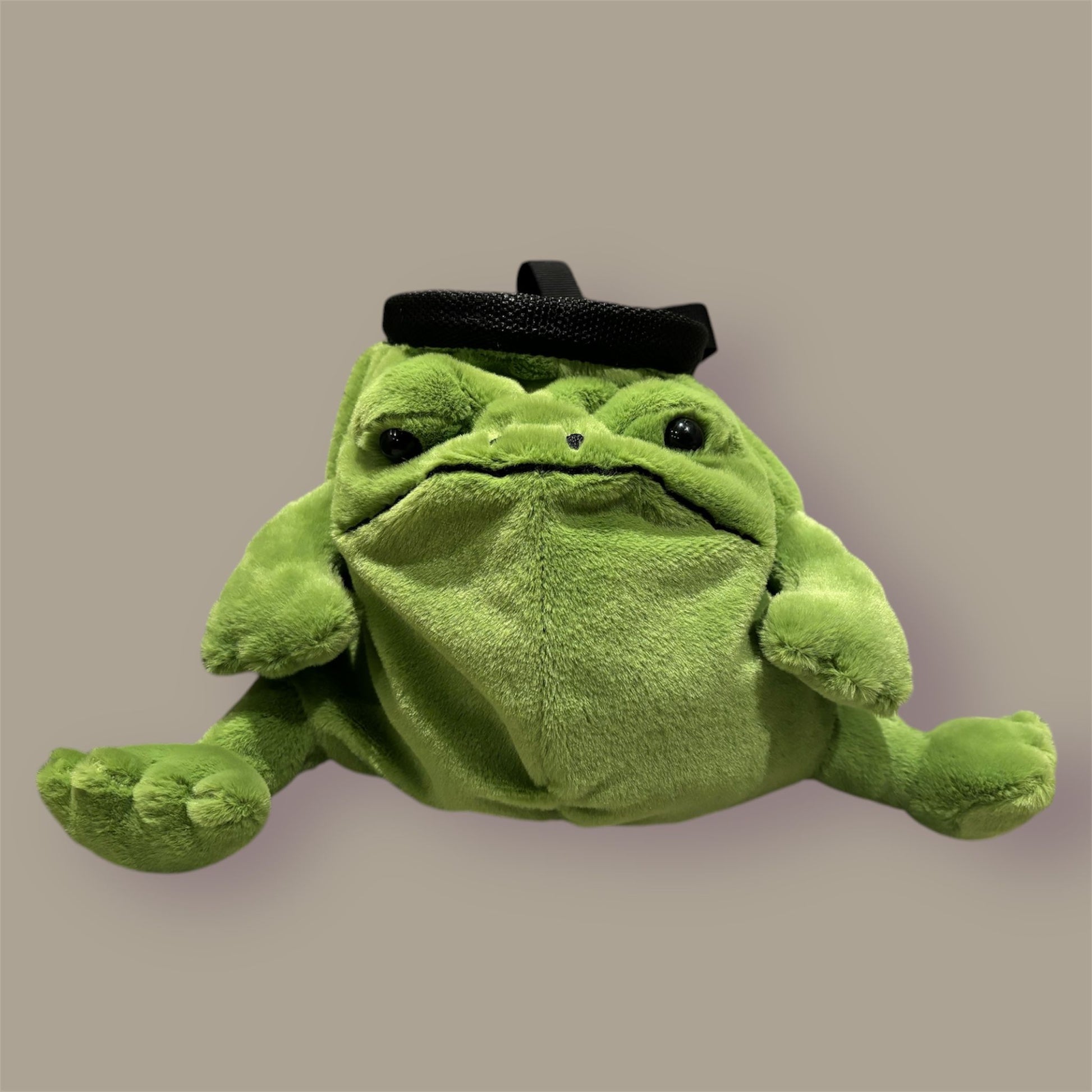 frog chalk bag