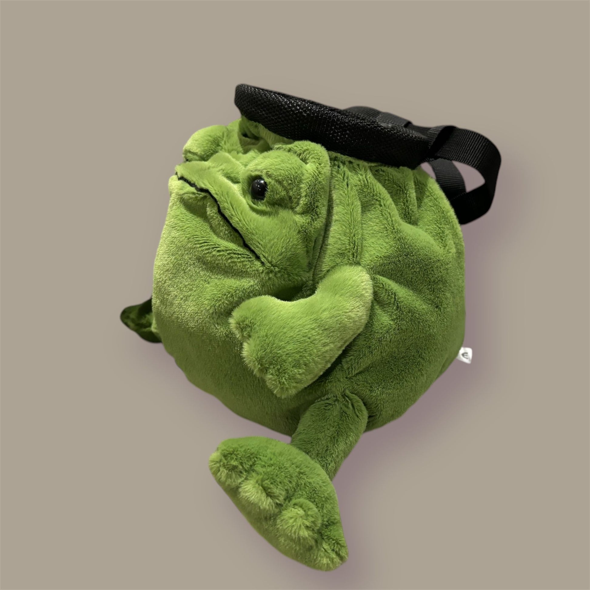 frog chalk bag side view