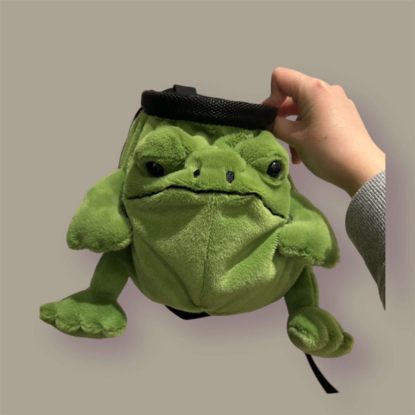 frog chalk bag